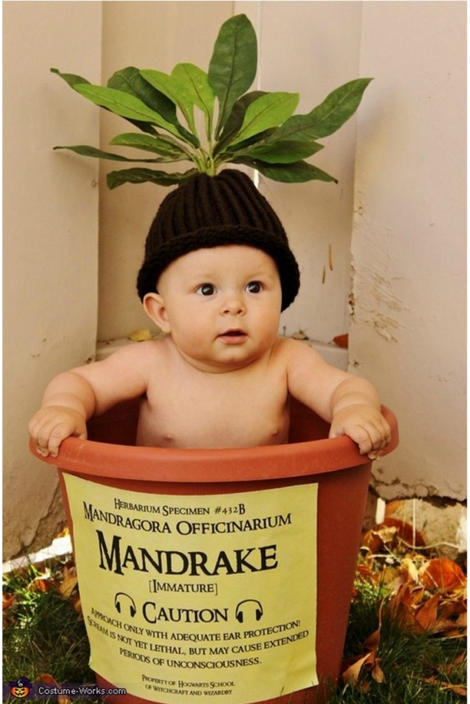 Geeky Halloween costumes for kids: New-sew Baby Mandrake costume at True Blue Halloween