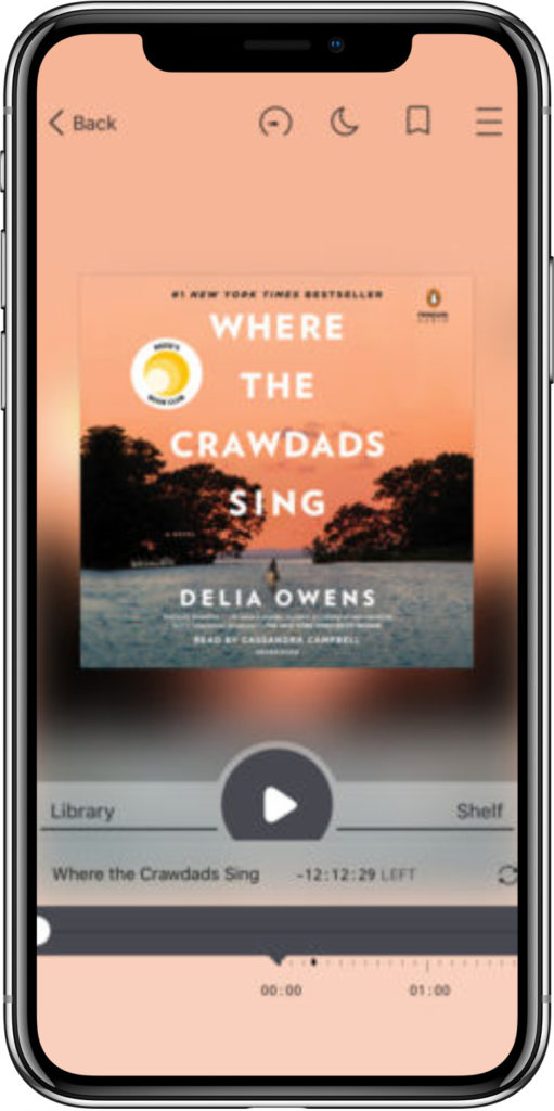 Free audiobook apps: Use Libby to rent from multiple libraries in one place.