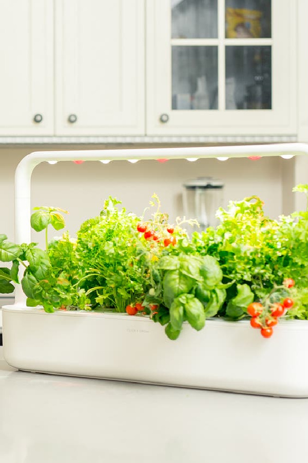 Practical tech gifts to get you through winter: A self-watering indoor garden for fresh herbs and veggies