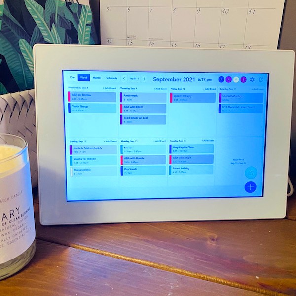 Is the Skylight calendar worth the splurge for big, busy families? We tried it.